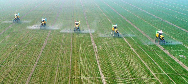 為農服務國家隊-1