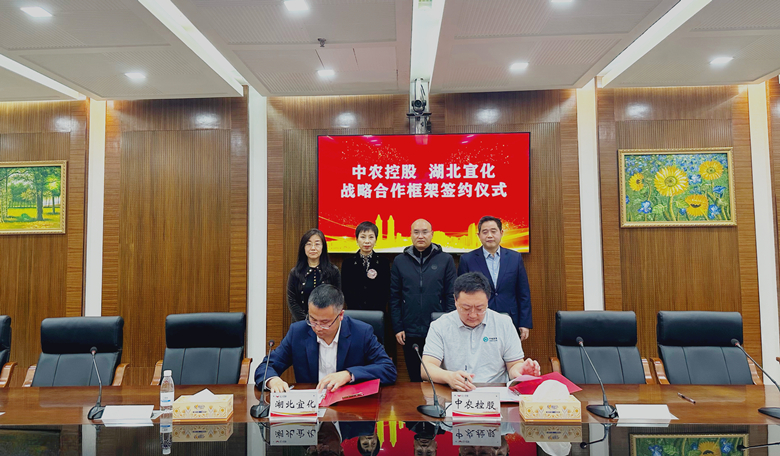 微信圖片(文內)